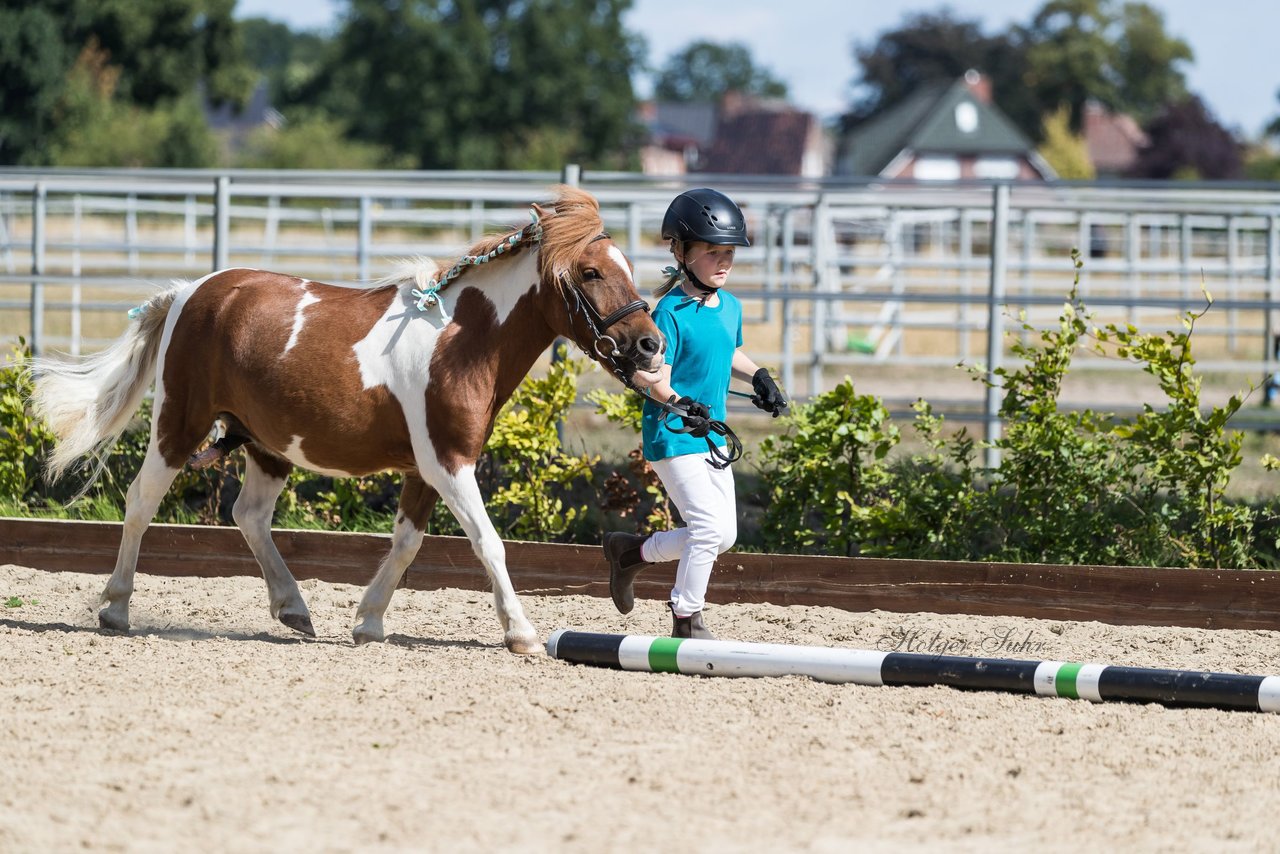 Bild 208 - Pony Akademie Turnier